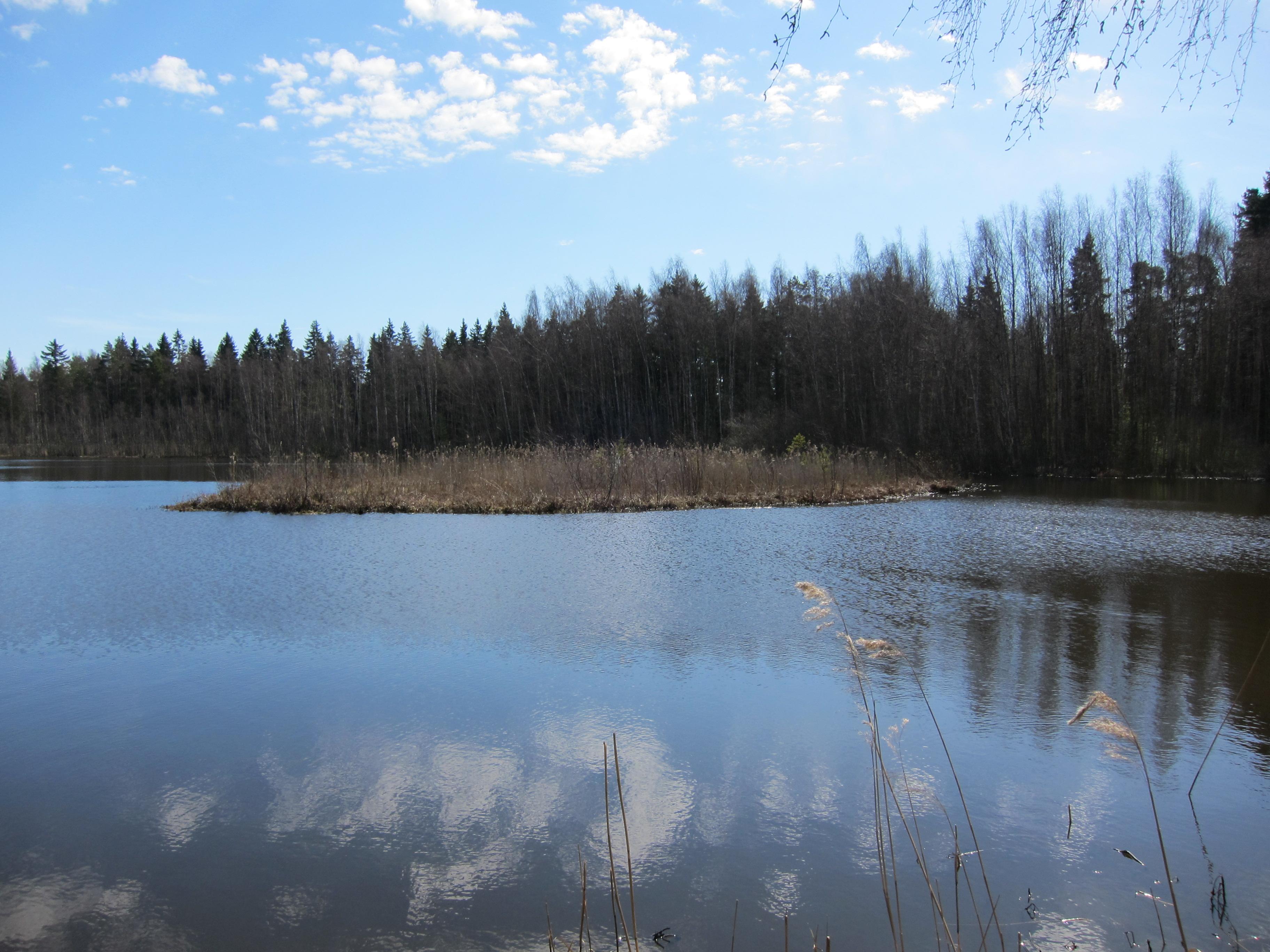 Metsäjärvi