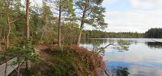 Kurjenrahkan kansallispuisto